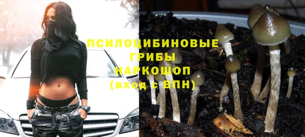 дурь Богородск