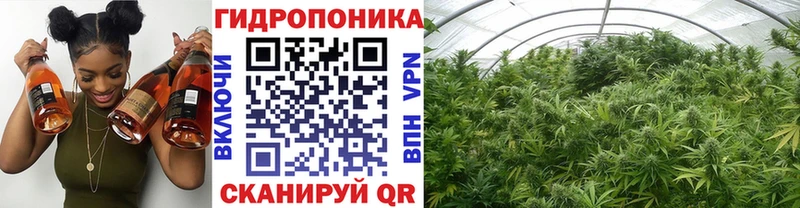 Шишки марихуана Ganja мега рабочий сайт Будённовск как найти